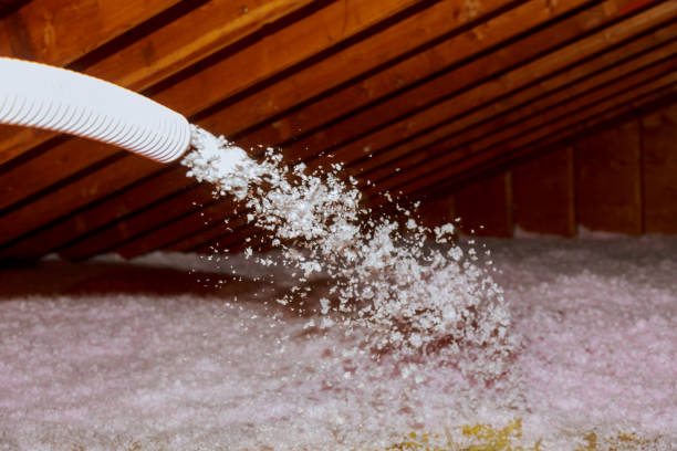 Best Eco-Friendly Insulation in Viera West, FL