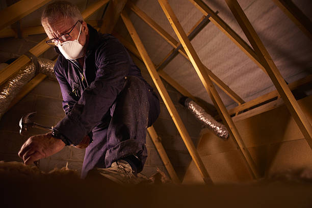 Best Commercial Insulation in Viera West, FL